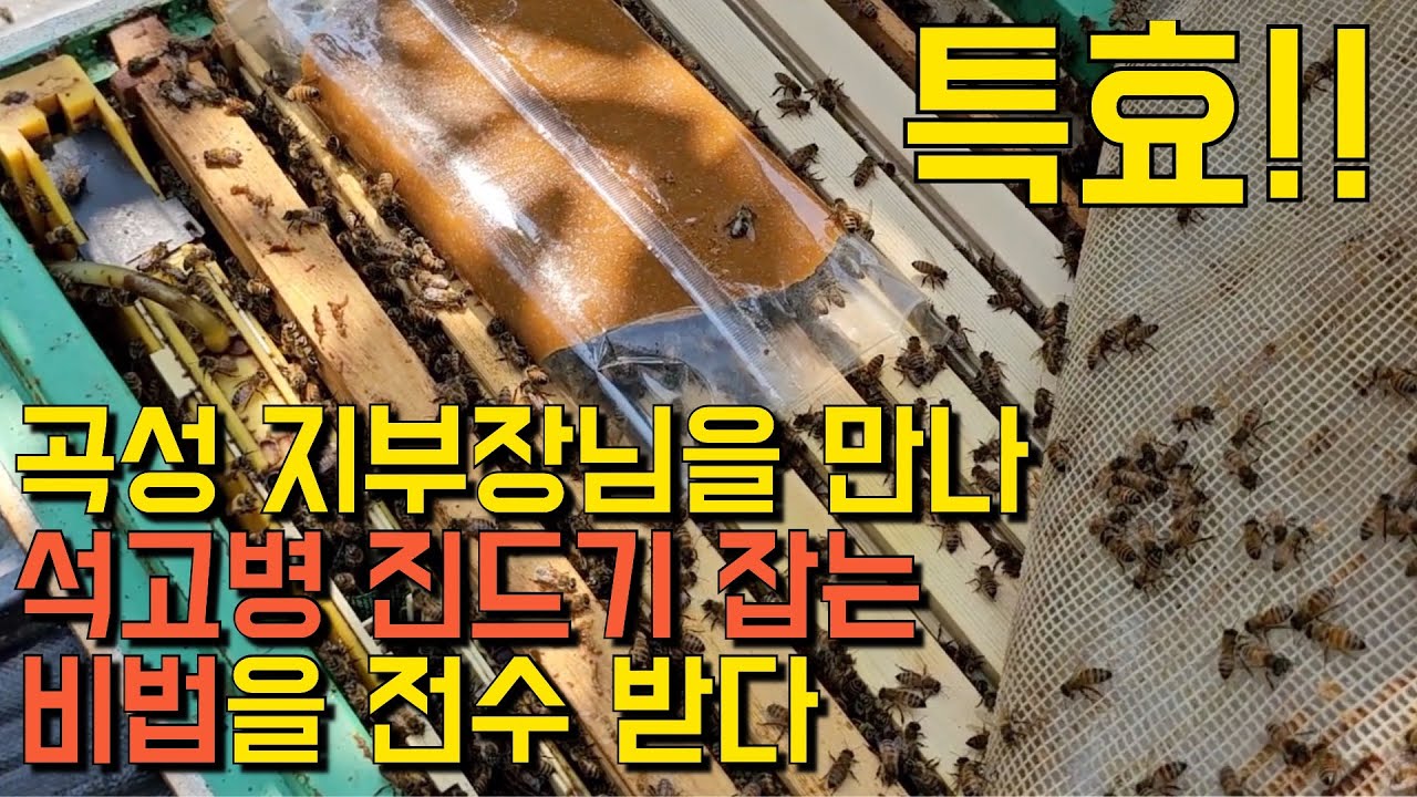 곡성 지부장님을 만나 진드기 비법을 전수 받았습니다