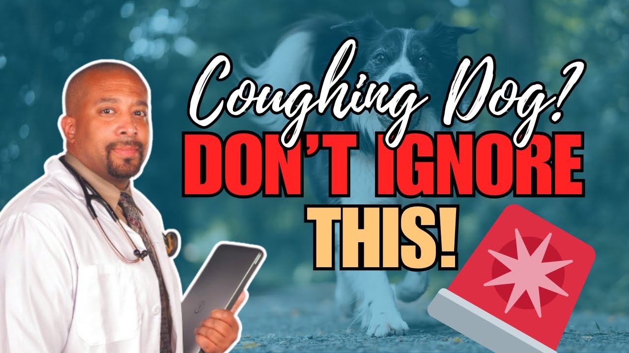 Dog Coughing Sounds Explained | When to Call the Vet