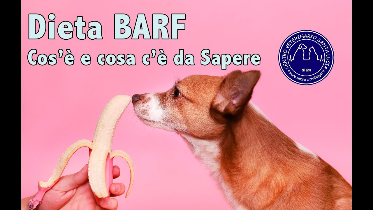 55 - Dieta barf, la dieta a crudo biologicamente appropriata, ma è proprio così?