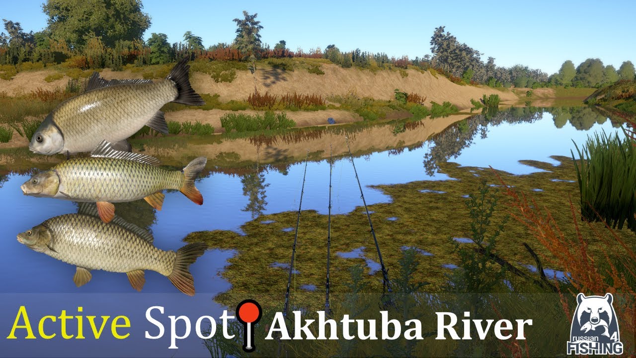Russian Fishing 4 | Akhtuba River Active spot