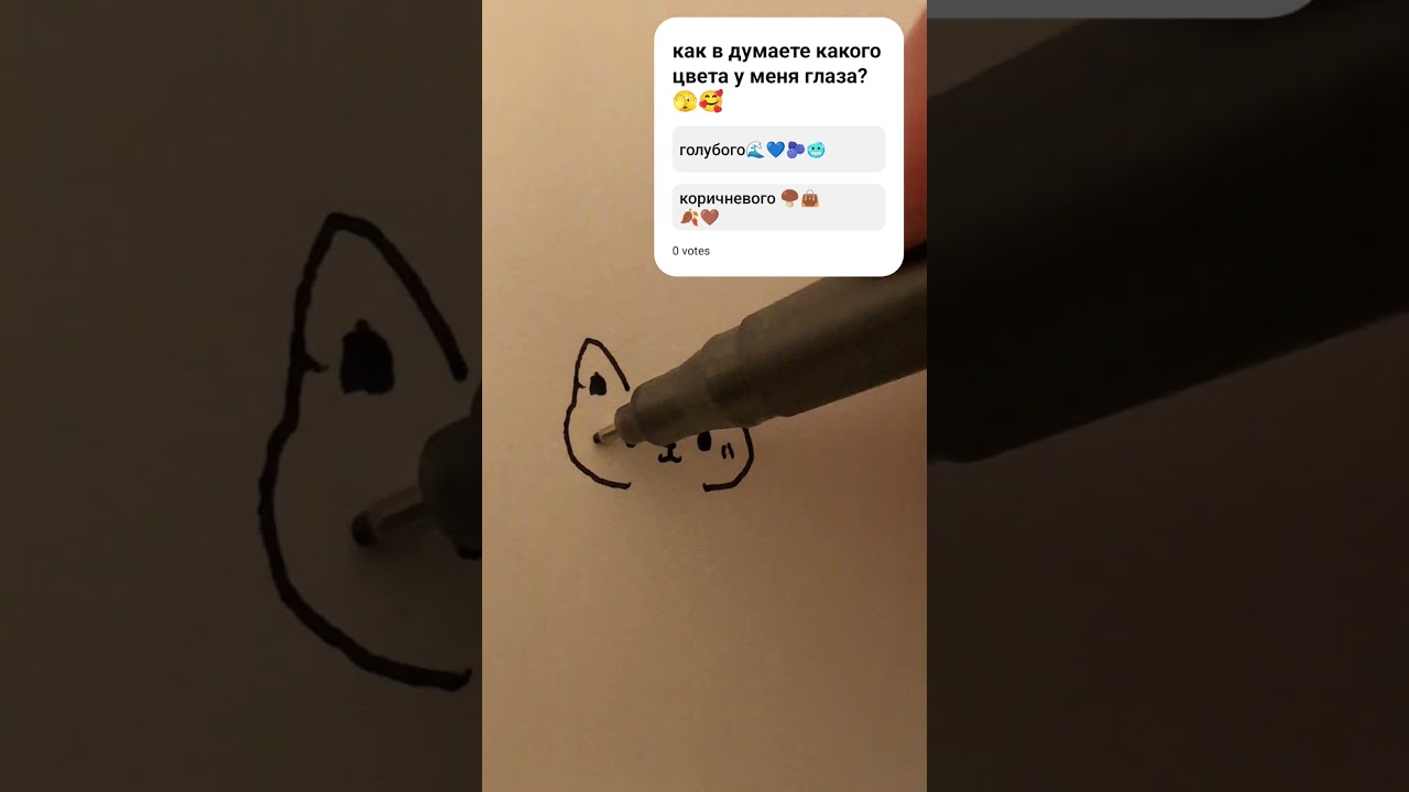 как нарисовать  милого котика лицо полю не сразу же а по частям лица а потом уже всё покажу вместе😍