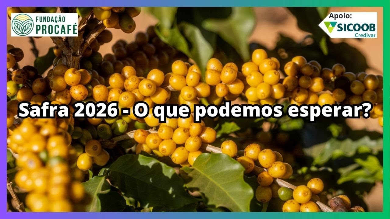 Podcast #198 - Safra 2026 - O que podemos esperar?