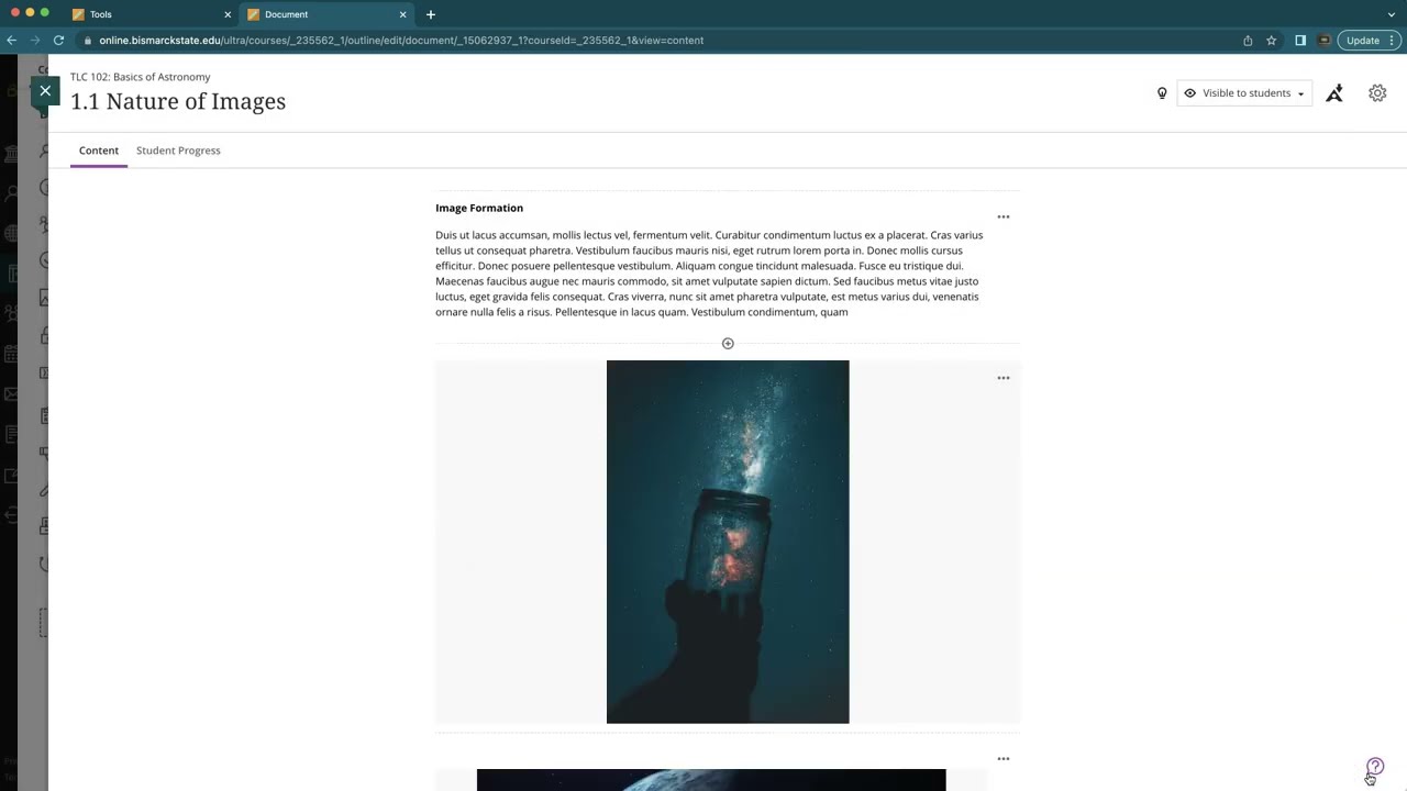 Content Collection in Blackboard Ultra