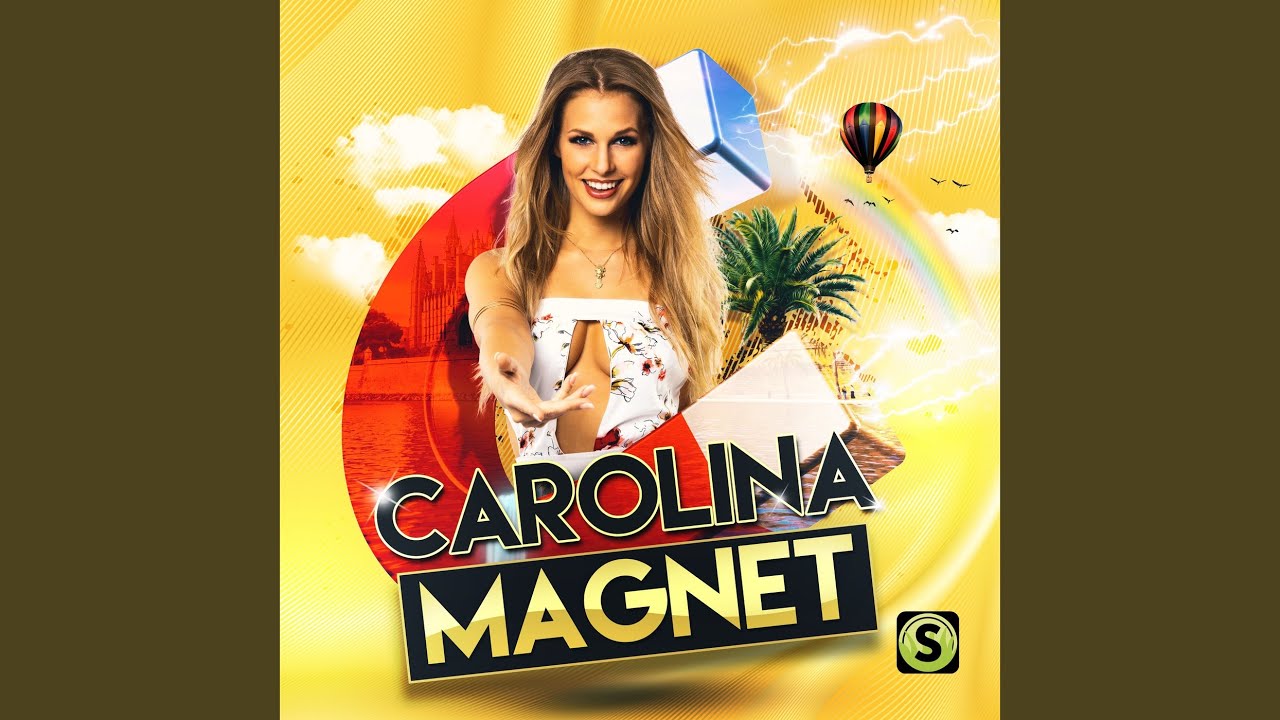 Magnet