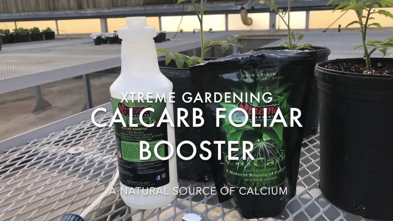 XG CalCarb