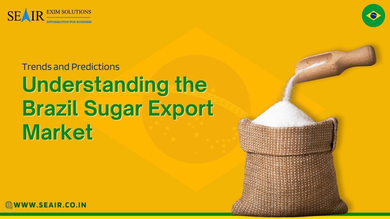 Understanding the Brazil Sugar Export Market : Trends and Predictions