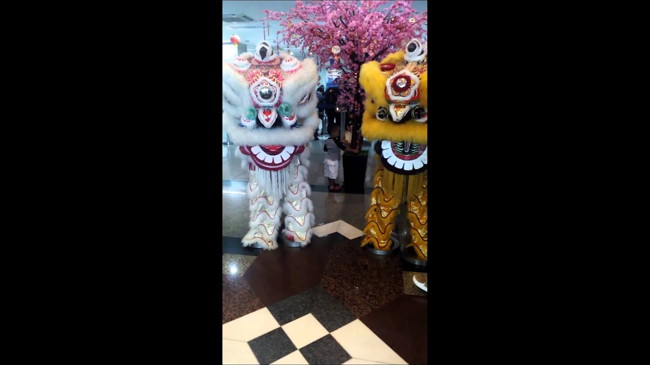 Baby Barongsai