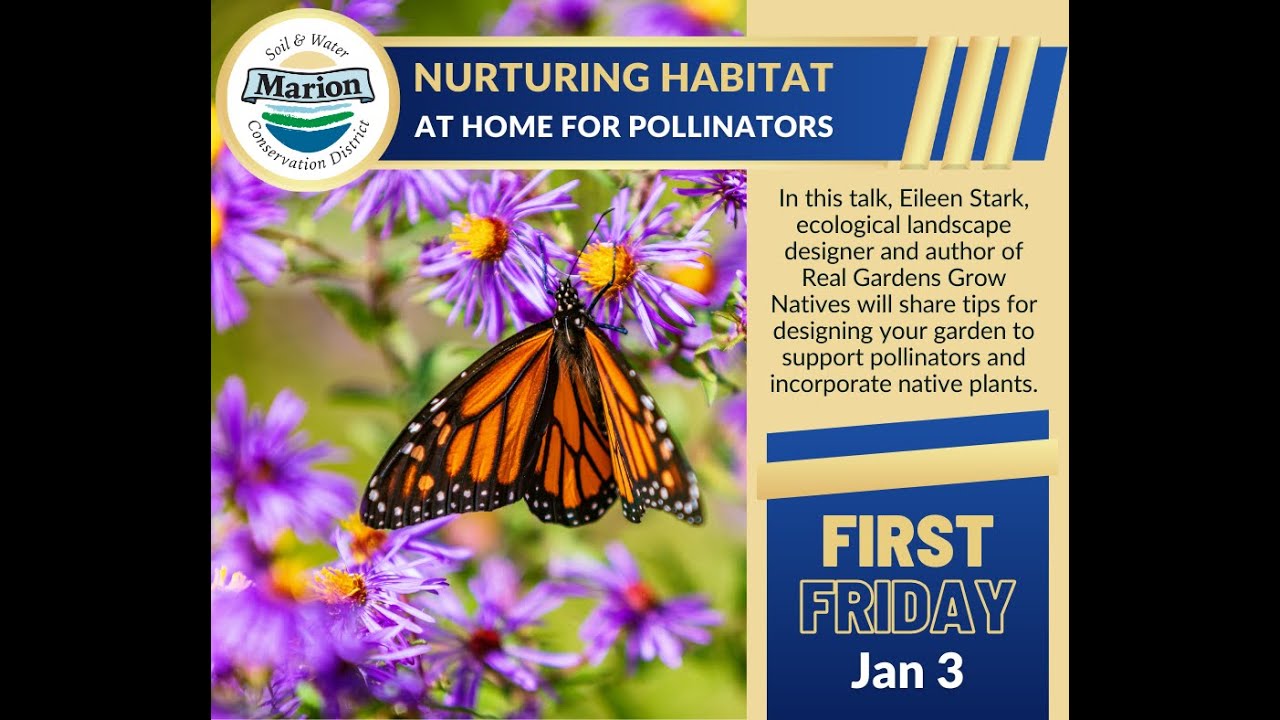 First Friday - Nurturing Habitat at Home for Pollinators