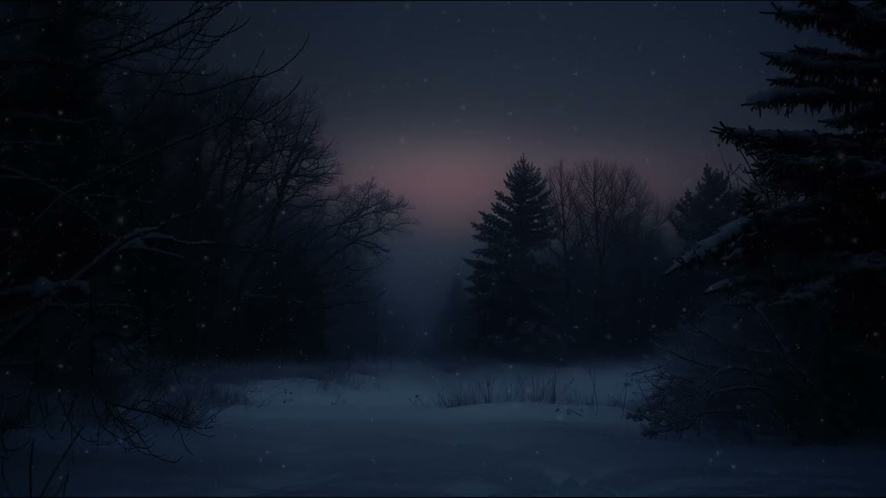 winter forest ambience (sleep mix)