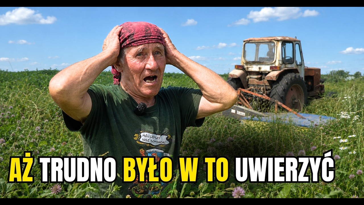 KONICZYNA po pas i walka z KAMIENIAMI. Tak wygląda prawdziwe KOSZENIE siana