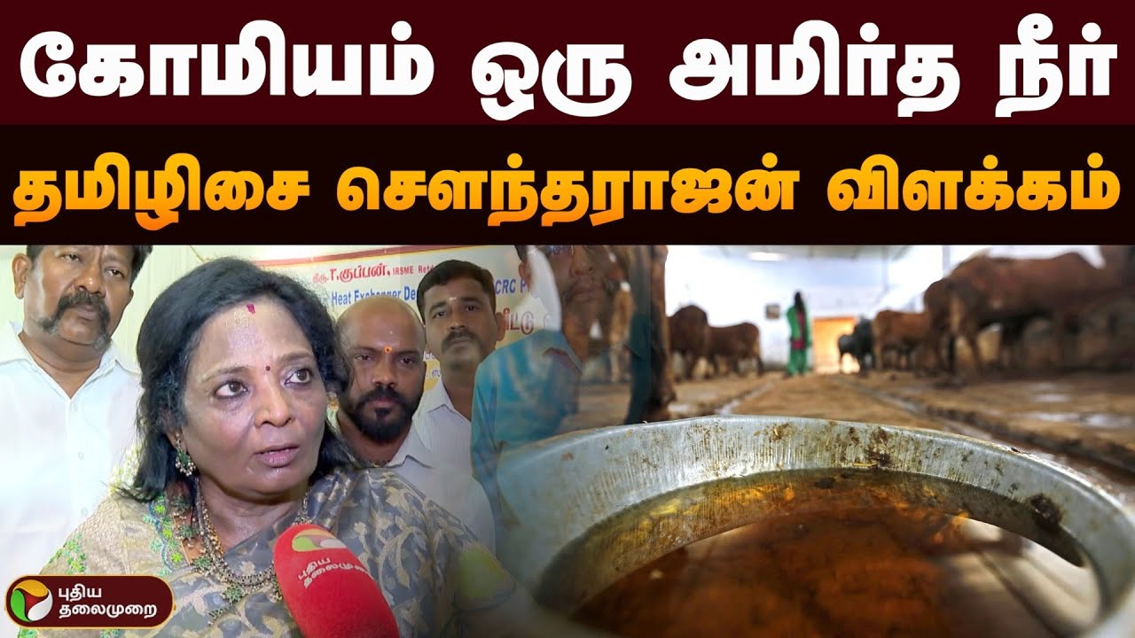 கோமியம் ஒரு அமிர்த நீர்..