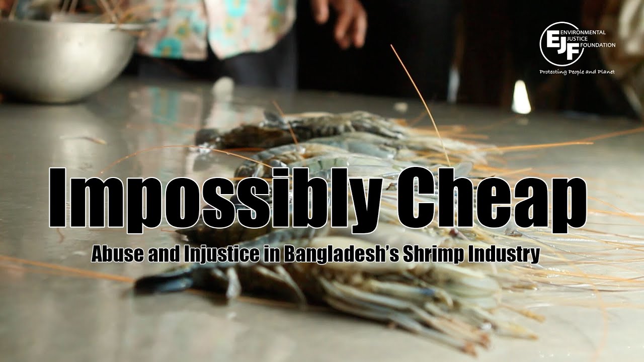 Impossibly Cheap: Abuse and Injustice in Bangladesh's Shrimp Industry