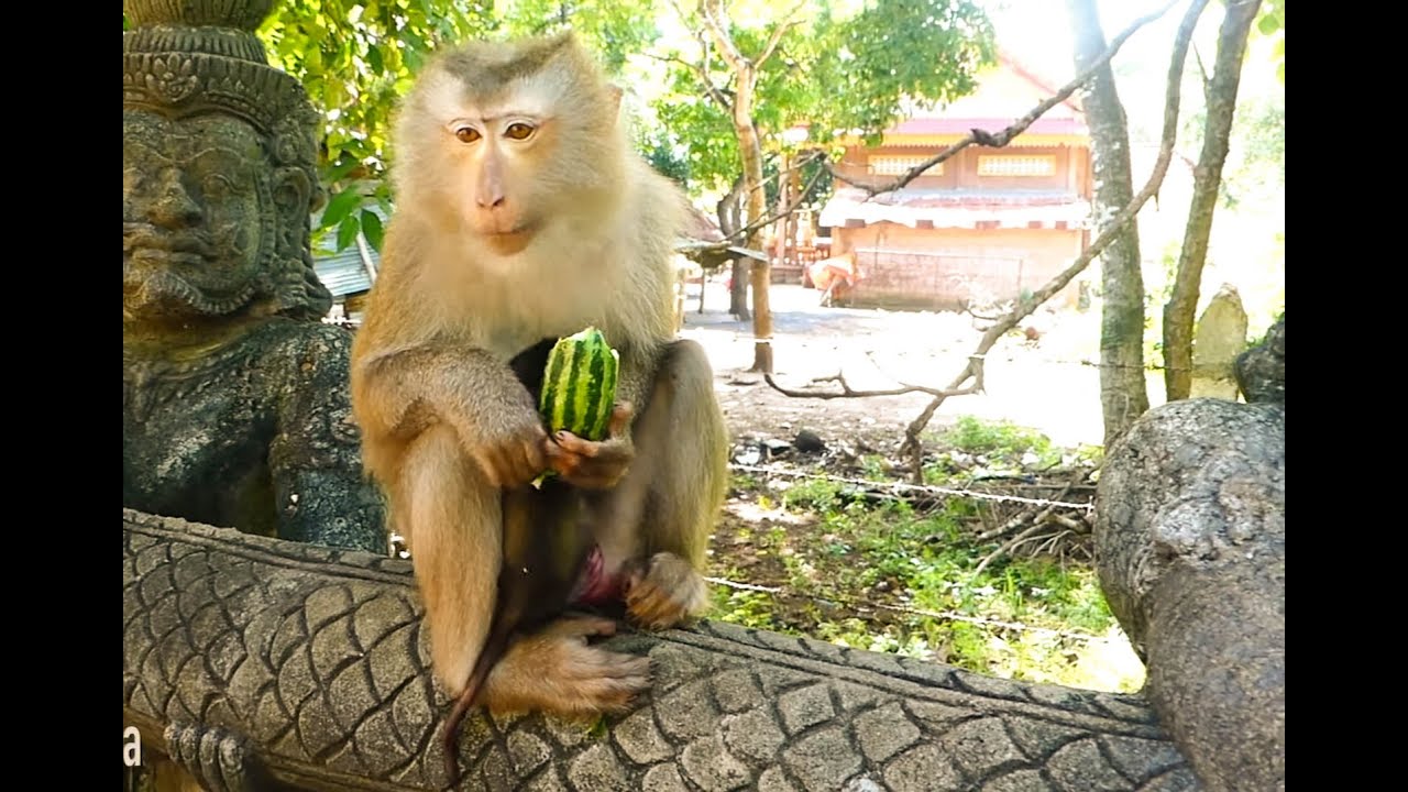 Billion pity Video very saddest, poor Baby Just Born look to very thin after giving birth three day