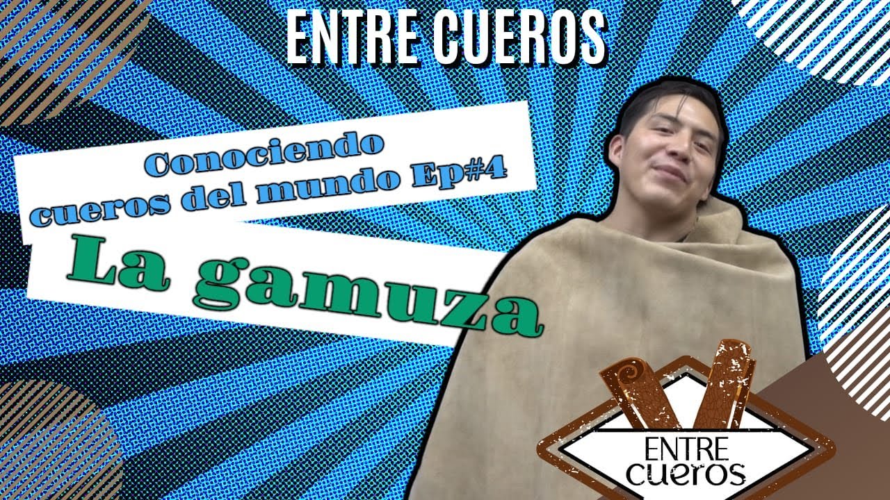 Conociendo cueros del mundo Ep. 4: La Gamuza