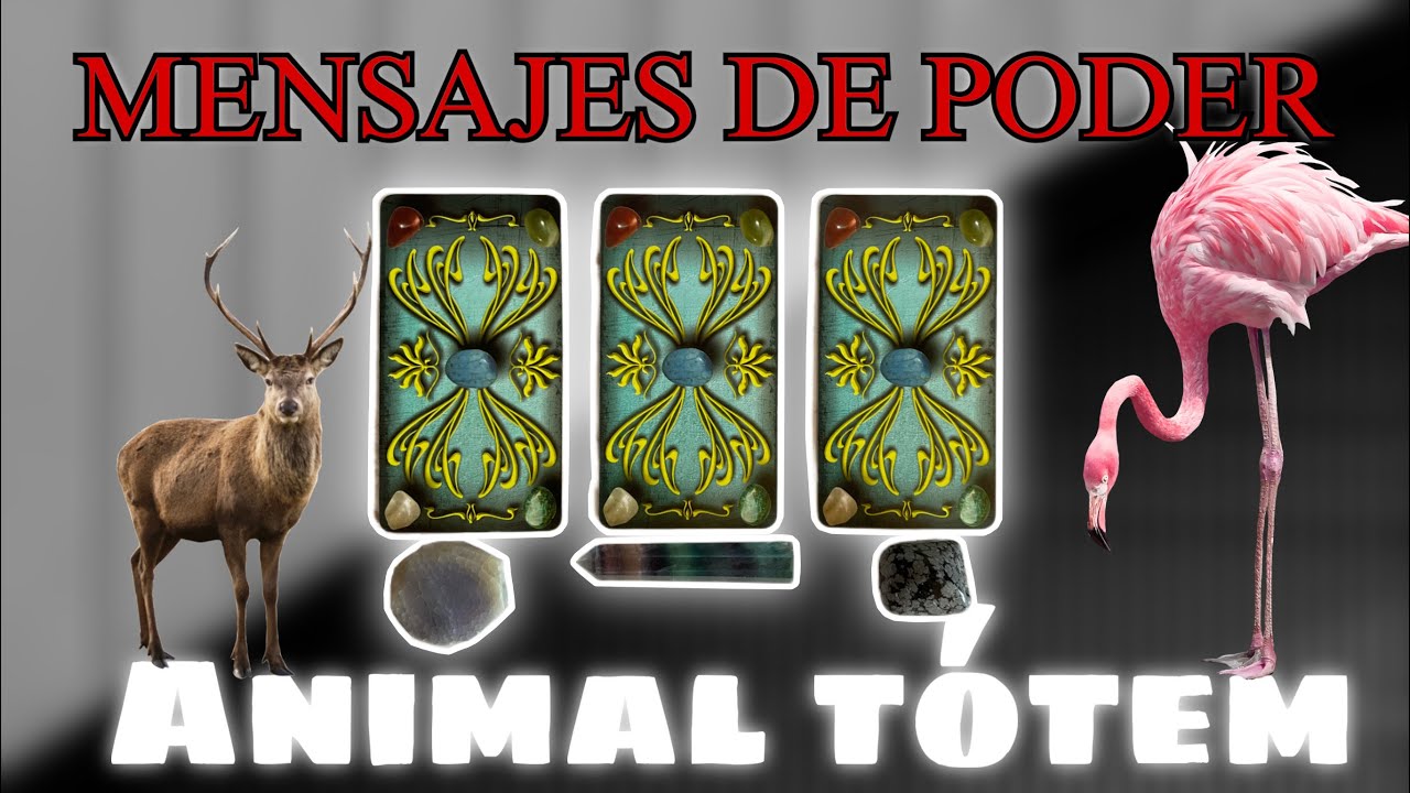 Mensajes de poder para hoy🦄 ¿Que debes saber?🦋integra la energía del animal🌟💗ESCOGE UNA PILA🌟💗