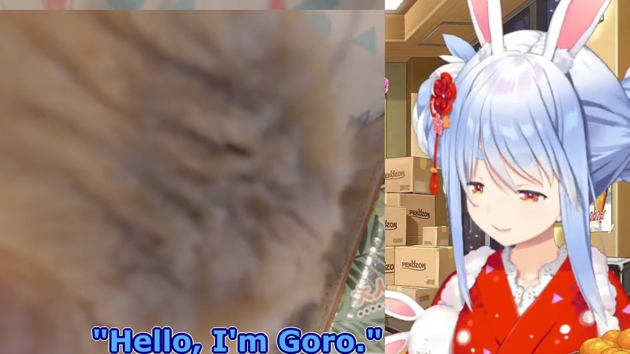 Pekora's cat Goro appears while she's showing off her New Year's buys  [Hololive/Eng Sub]