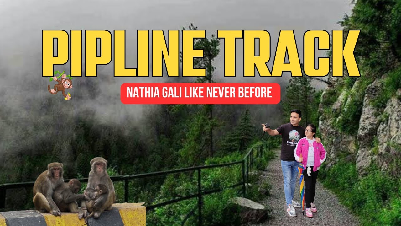 Nathia Gali Like Never Before | A Cinematic Journey Through the Clouds |