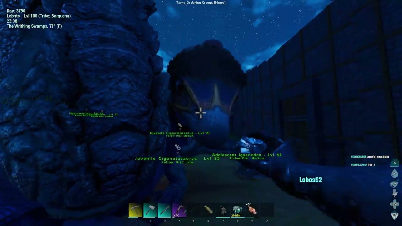 Highlight: Te Daria Prueba.