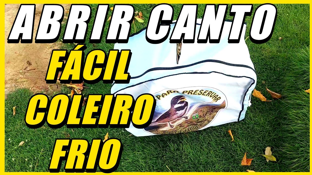 DICAS PRA SEU 