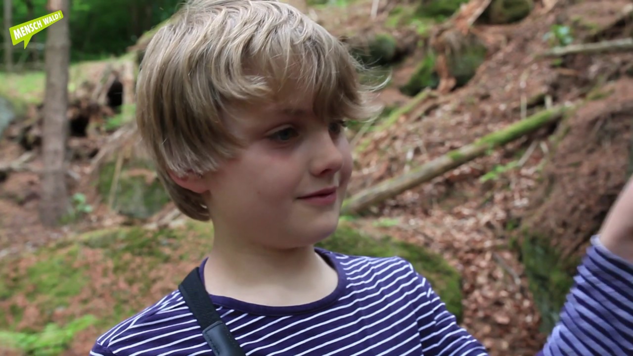 Im Wald (Folge 1): Wohnungen im Wald