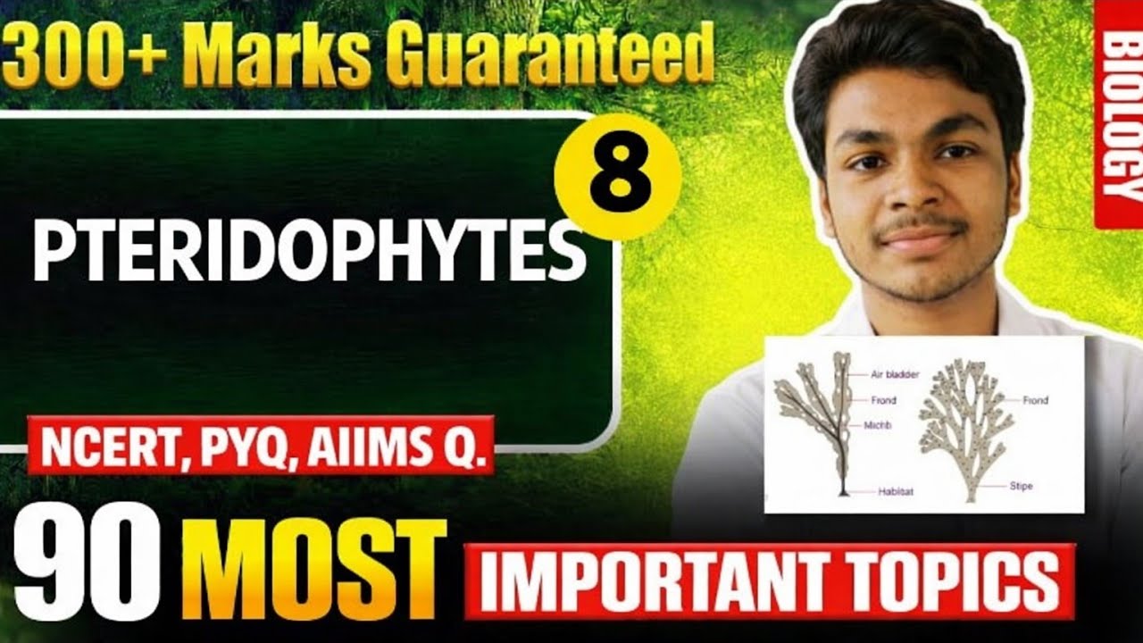 Topic -8- Pteridophytes (Botany) 90 IMPORTANT TOPIC Biology #neet2026 #neetbiology #neet