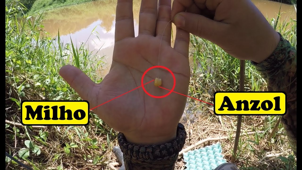 MELHOR MONTAGEM PARA PIAU E TILÁPIA