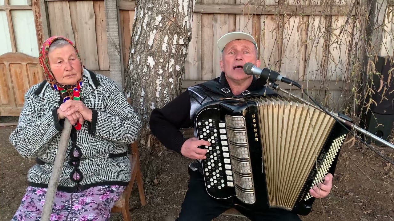 Белый лебедь