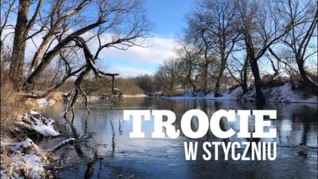 Trocie w styczniu 2022. Łowienie ryb w średniej rzece trociowej