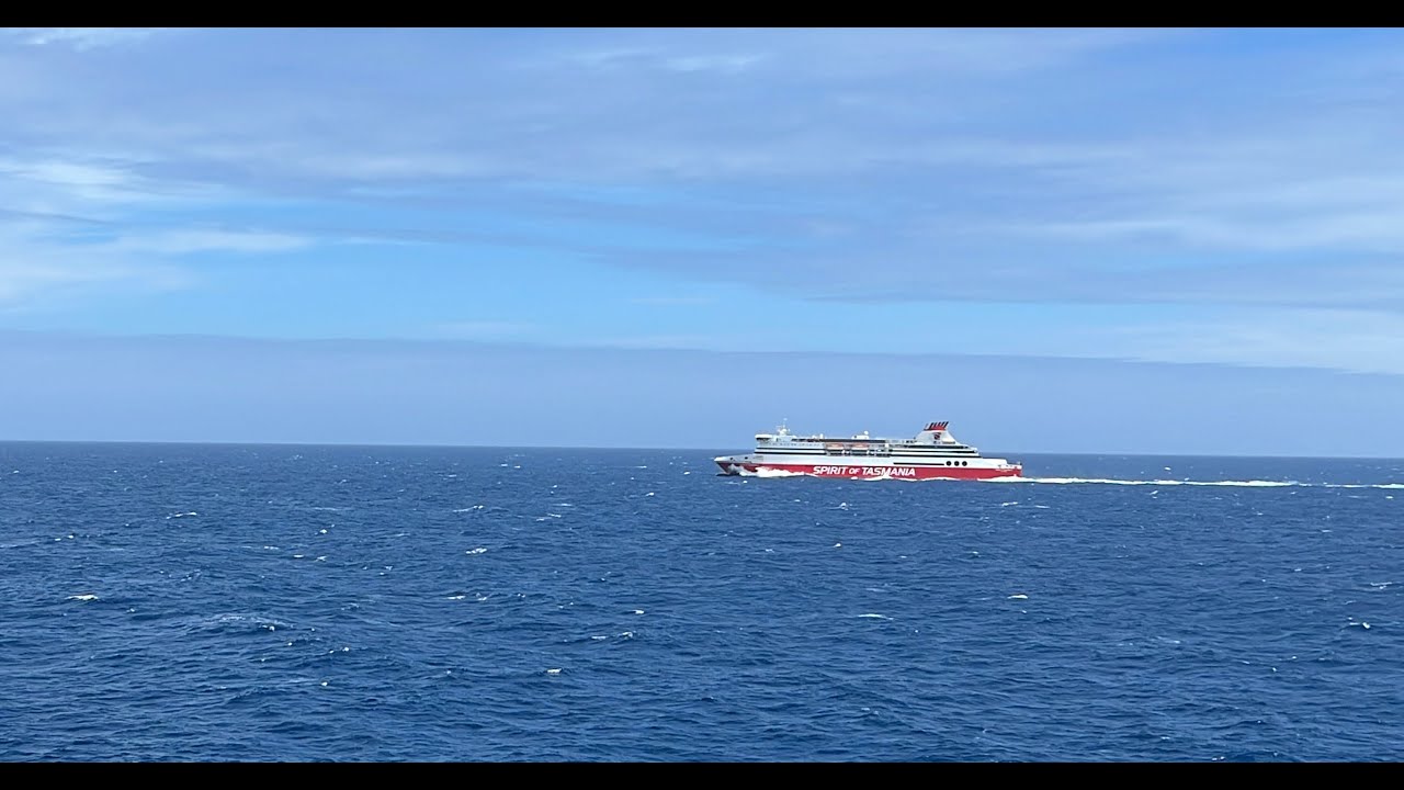 Spirit of Tasmania Day Sailing || 11 Hour Ferry From Tasmania to Melbourne / Geelong 🌏🇦🇺