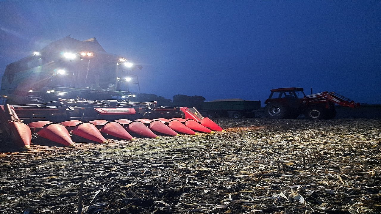 ☆Kukurydza na ziarno☆ Deutz-Fahr C9205☆Deutz-Fahr 6040☆ Usługi Piekarski☆