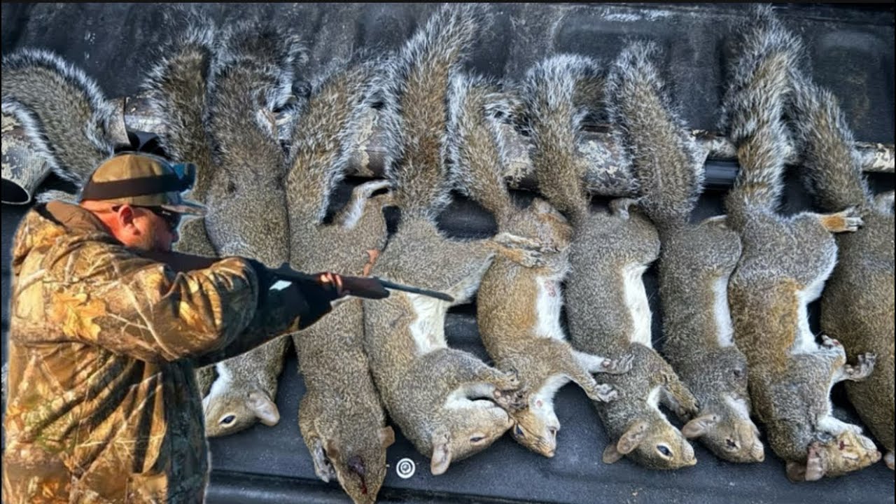 From Tree to Table - Florida Squirrel Hunting | Catch & Cook Empanadas