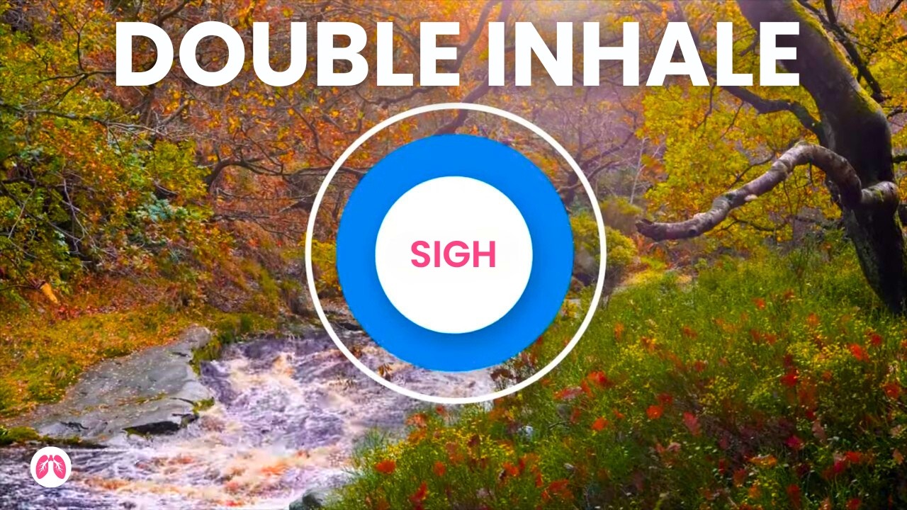 Somatic Breathing Exercise to Reduce Stress | Huberman's Physiological Sigh