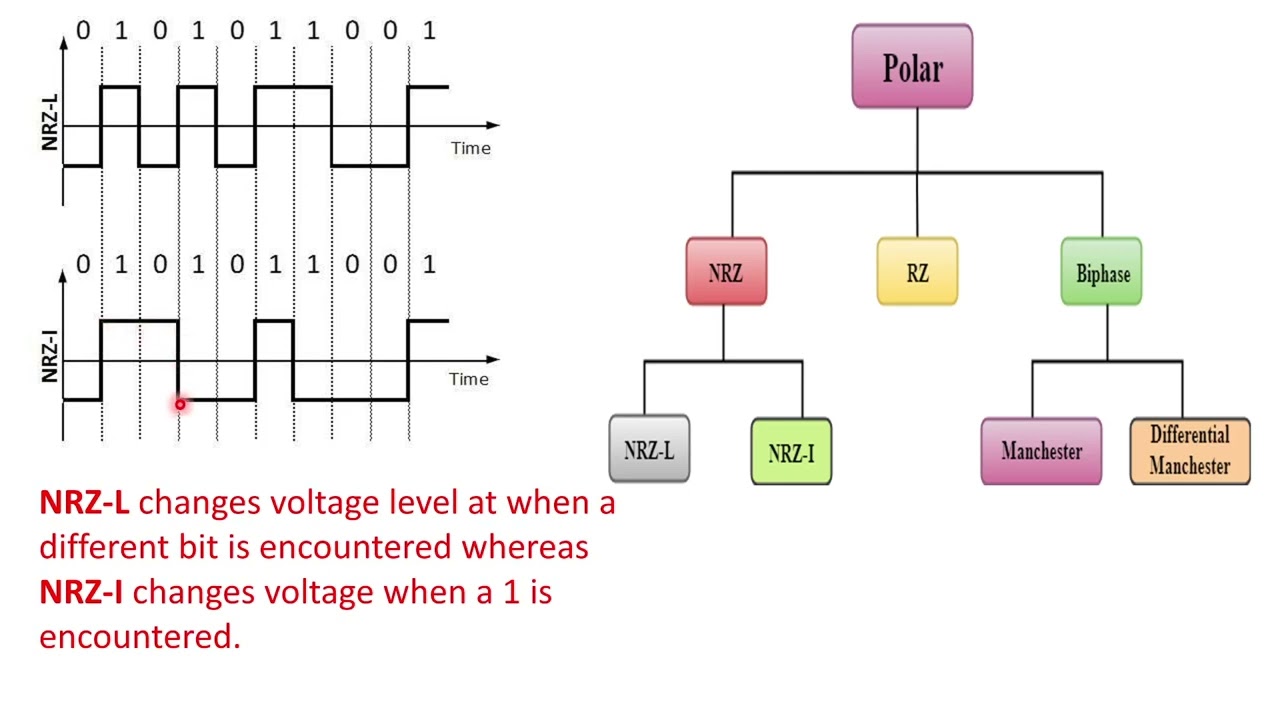 CLASS 10 | Network Structure | Physical Layer |RPSC PROGRAMMER | programmer computer network