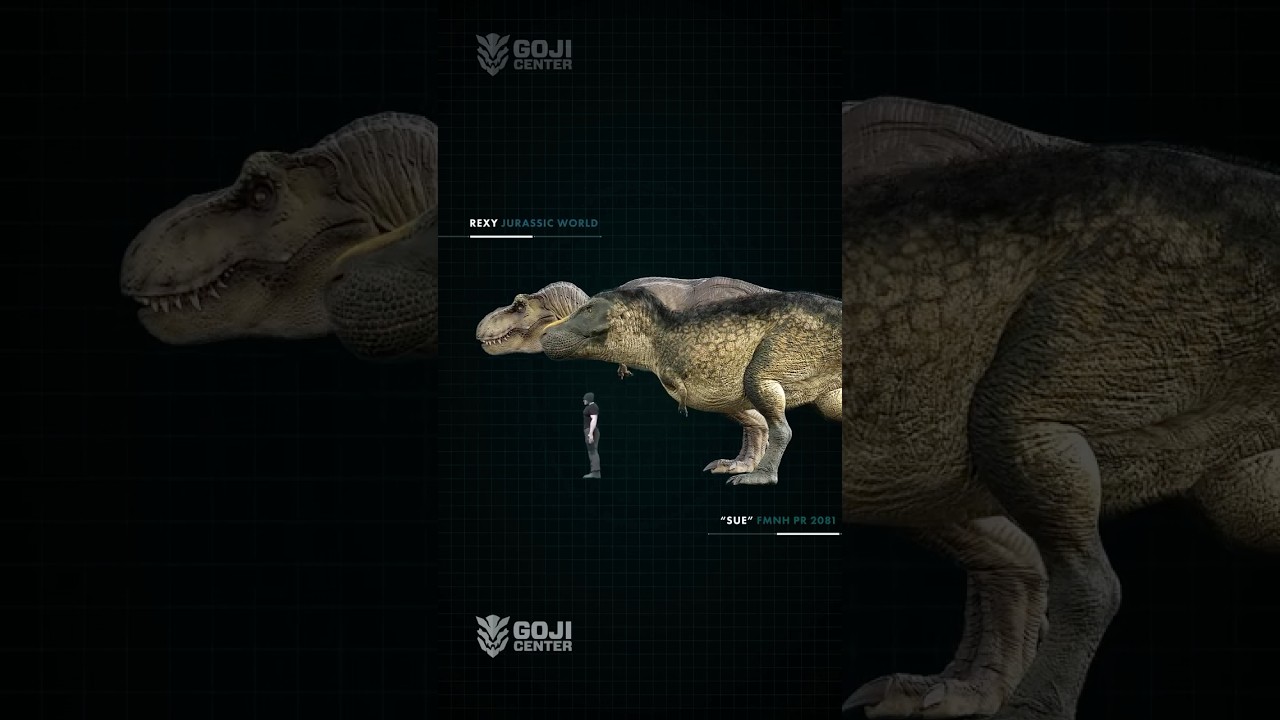 Rexy vs Sue size comparison