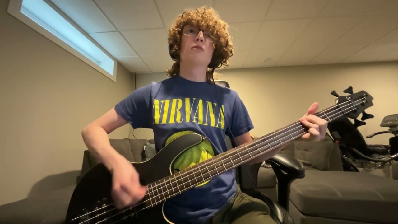 Would? Bass Cover