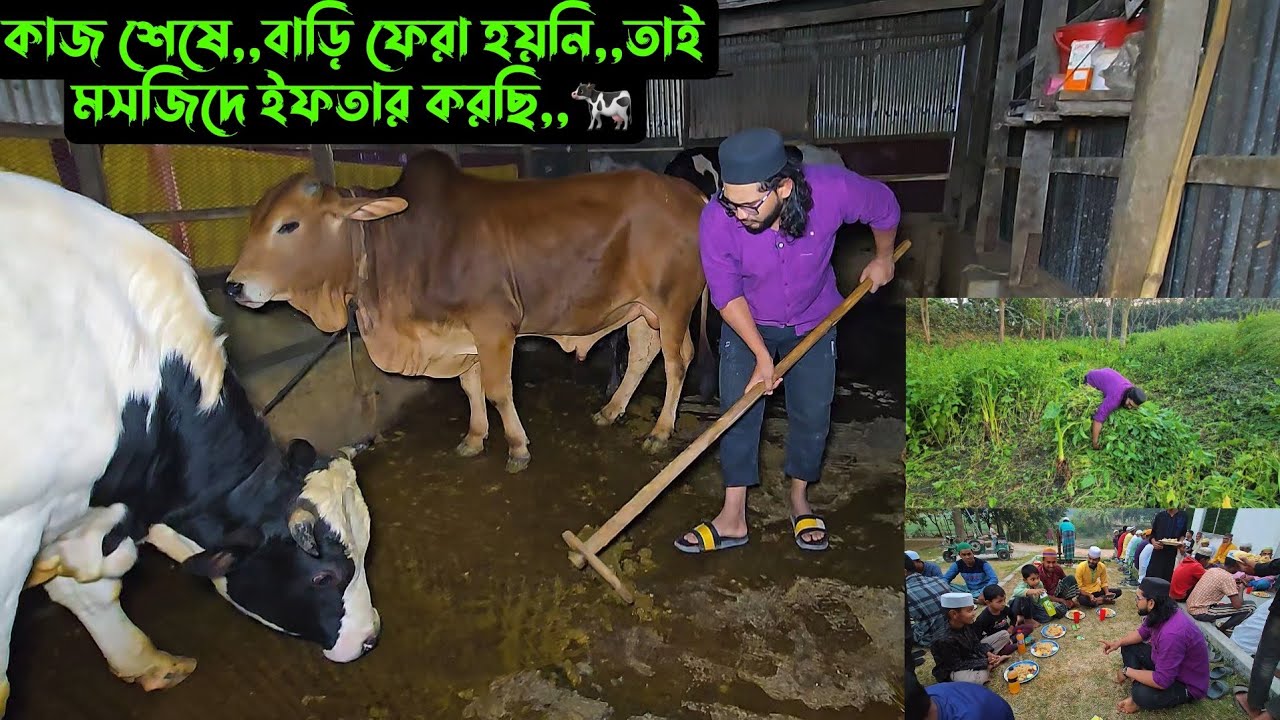 কাজ শেষে,,,বাড়ি ফেরা হয়নি,,তাই মসজিদে ইফতার করছি,,,🐄