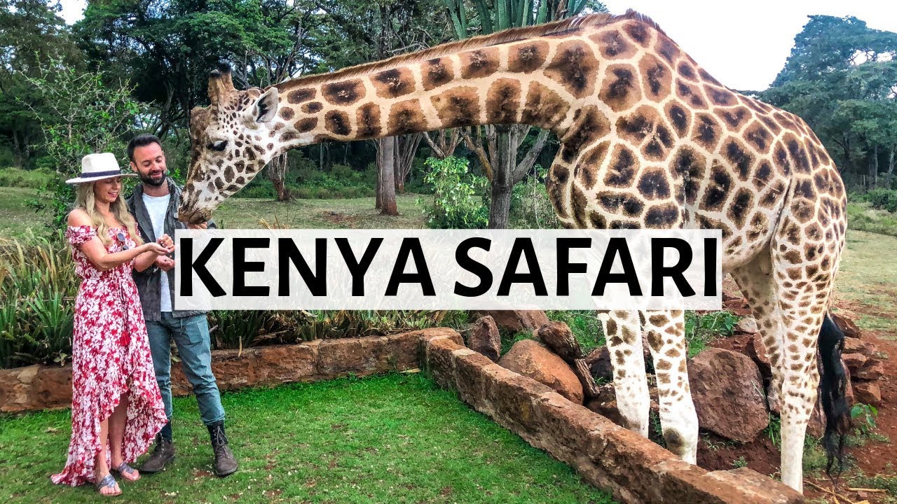 Kenya Safari Masai Mara | The Great Migration + Giraffe Manor