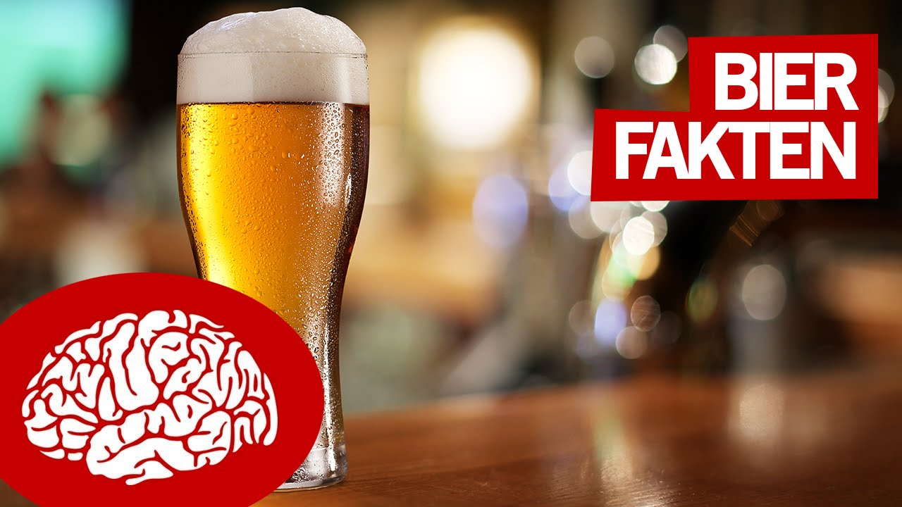 12 FAKTEN &Uuml;BER BIER