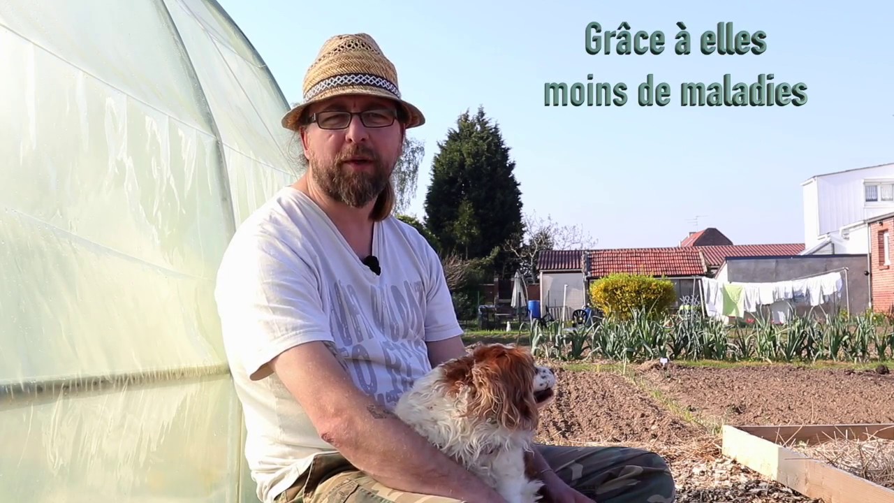 Episode 20 : Je n'ai pas peur des limaces !!
