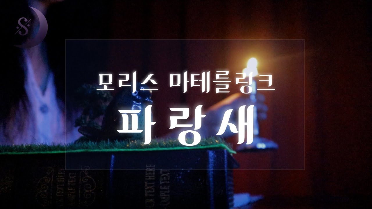 오늘밤 잃어버린 행복을 찾아드립니다 / 노벨문학상 수상작 /파랑새 / ASMR