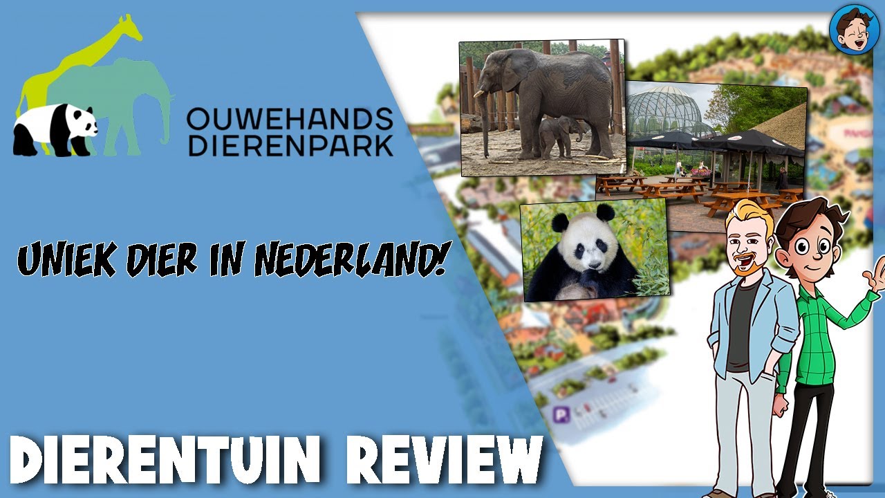 NIEUWE BABY'S EN ENG BERENBOS? - OUWEHANDS DIERENPARK REVIEW