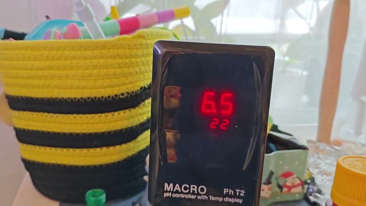 Akwarium 72l HT. Podłączam elektrosondę i uruchamiam komputer pH do kontroli CO₂!