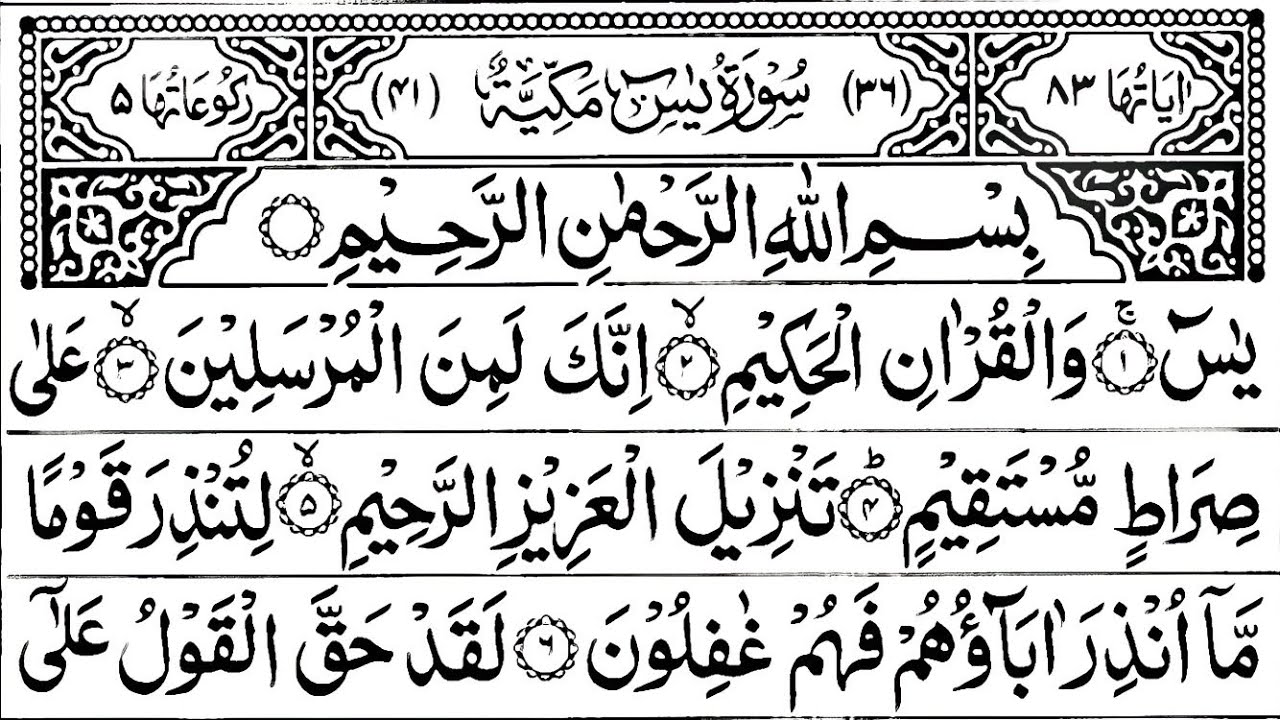 Surah Yasin | quran tilawat |Ep 544 | Daily Quran Tilawat Surah Yaseen Surah Rahman Surah Waqiah