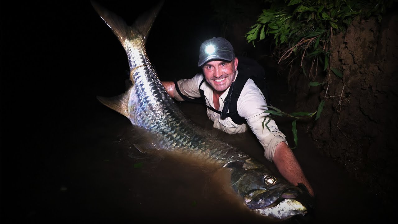 CE TARPON EST UNE VRAIE TORPILLE  - Cyril Chauquet