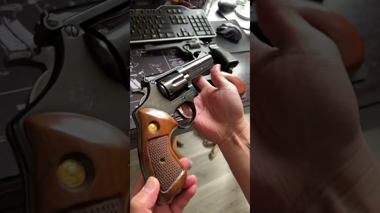 Taurus 66 - Quickie  ;)  No gloves