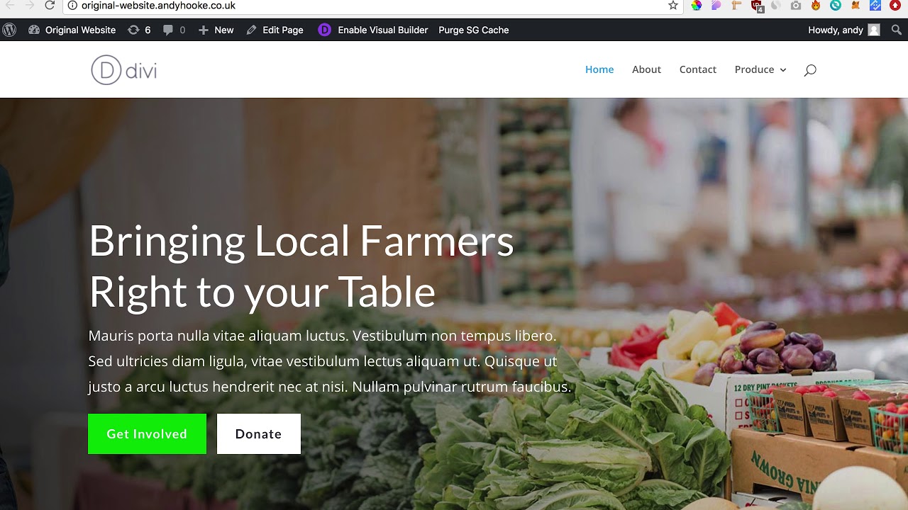 How to add a Mega Menu to Divi (WordPress)