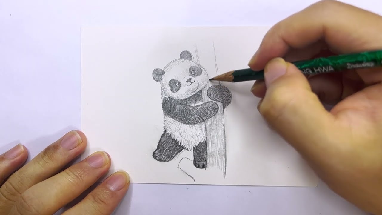 Draw panda Day 110｜pencil sketch