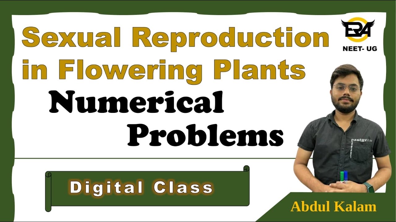 Ch-2 Sexual reproduction in flowering plants || Numerical problems || NEET || NCERT || The BioHub