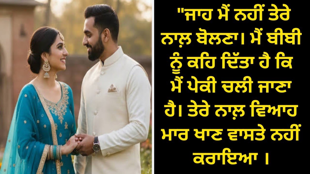 ਤੇਰੇ ਨਾਲ਼ ਵਿਆਹ ਮਾਰ ਖਾਣ ਵਾਸਤੇ ਨਹੀਂ ਕਰਾਇਆ । Punjabi village life style kahaniyan// Punjabi stories//