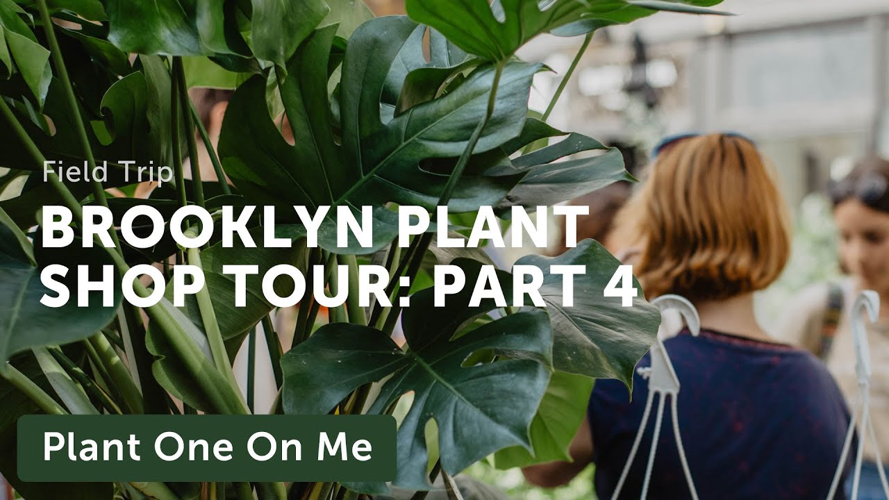 Brooklyn Plant Shop Tour: Tend (4/6) &mdash; Ep. 221